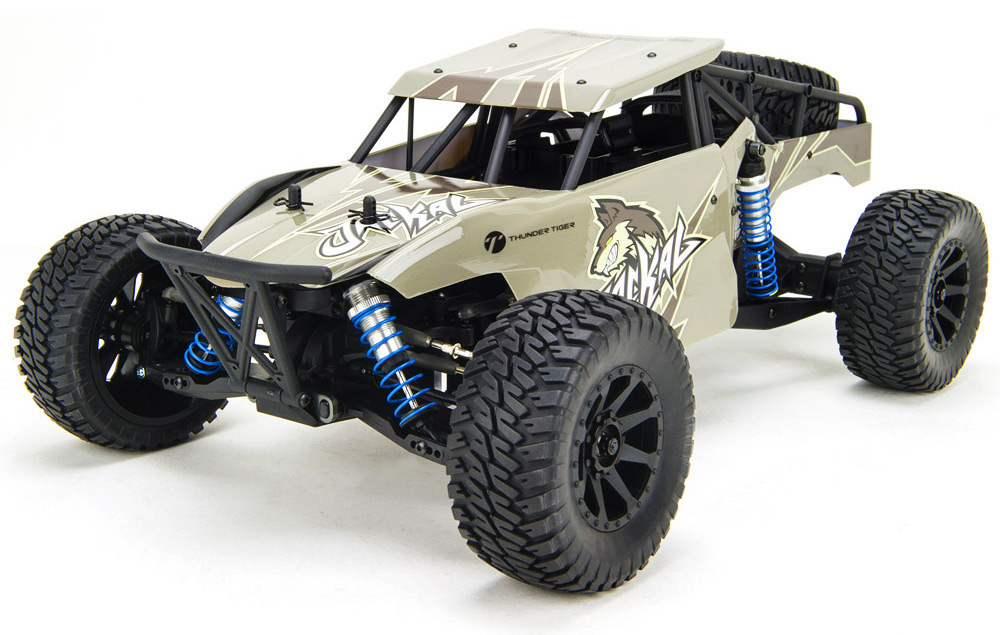 Thunder tiger hot sale rc buggy